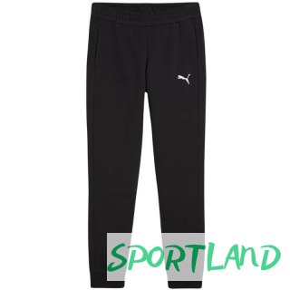 Spodnie Puma Team Goal Casuals W 658604 03 M