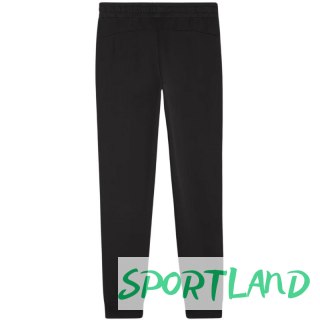 Spodnie Puma Team Goal Casuals W 658604 03 M