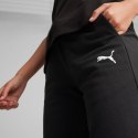 Spodnie Puma Team Goal Casuals W 658604 03 S