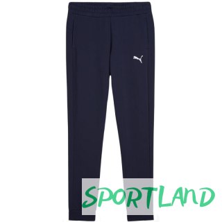 Spodnie Puma Team Goal Casuals W 658604 06 L