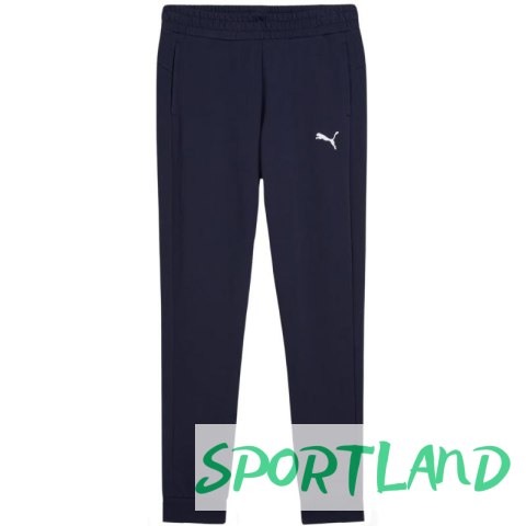 Spodnie Puma Team Goal Casuals W 658604 06 M