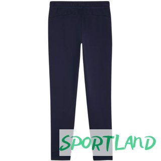 Spodnie Puma Team Goal Casuals W 658604 06 M