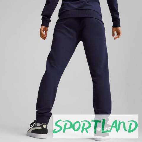 Spodnie Puma Team Goal Casuals W 658604 06 M
