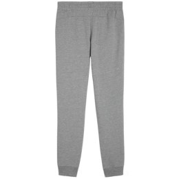 Spodnie Puma Team Goal Casuals W 658604 33 M