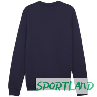Bluza Puma Team Goal Casuals Crew Neck Sweat M 658592 06 S