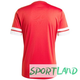 Koszulka adidas Squadra 25 M JE2601 L
