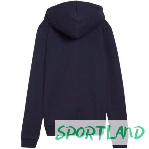 Bluza Puma Team Goal Casuals Hooded W 658597 06 M Bluza Puma Team Goal Casuals Hooded W 658597 06 M
