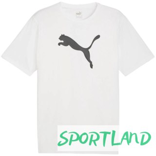 Koszulka Puma Team Rise Logo Jersey Cotton M 658705 04 S