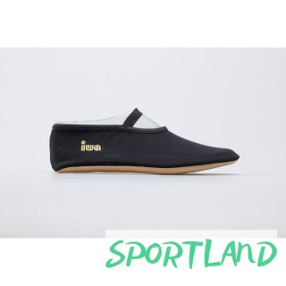Baletki IWA 250 39