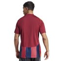 Koszulka adidas Striped 24 JSY M IW2149 XXL