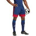 Spodenki adidas Squadra 25 M JH3408 2 XL