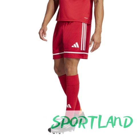 Spodenki piłkarskie adidas Squadra M 25 Short JN5466 S Spodenki piłkarskie adidas Squadra M 25 Short JN5466 S