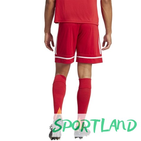 Spodenki piłkarskie adidas Squadra M 25 Short JN5466 S Spodenki piłkarskie adidas Squadra M 25 Short JN5466 S