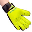 Rękawice bramkarskie Meteor Defence Jr 03827 uniw