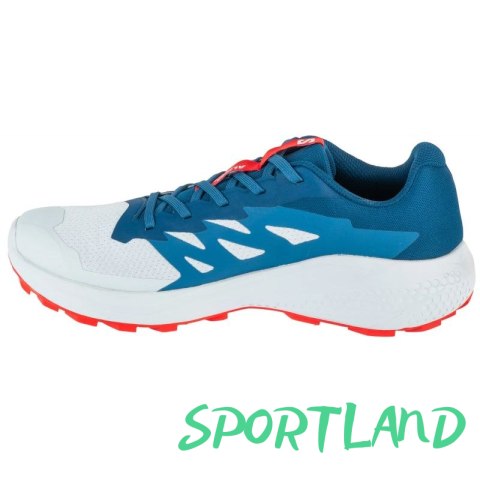 Buty do biegania Salomon Alphaglide Ballad M L47724300 44 2/3 Buty do biegania Salomon Alphaglide Ballad M L47724300 44 2/3