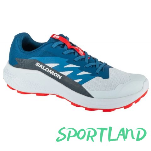 Buty do biegania Salomon Alphaglide Ballad M L47724300 45 1/3 Buty do biegania Salomon Alphaglide Ballad M L47724300 45 1/3