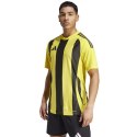 Koszulka adidas Striped 24 JSY M IW2146 2XL