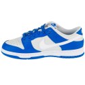 Buty Nike Dunk Low M FN3416-001 40,5