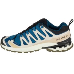 Buty do biegania Salomon XA Pro 3D v9 GTX M L47817400 41 1/3
