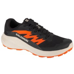 Buty do biegania Salomon Alphaglide M L47801100 44 2/3