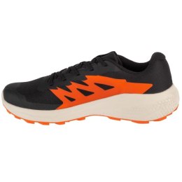 Buty do biegania Salomon Alphaglide M L47801100 44