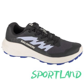 Buty do biegania Salomon Alphaglide W L47801800 39 1/3