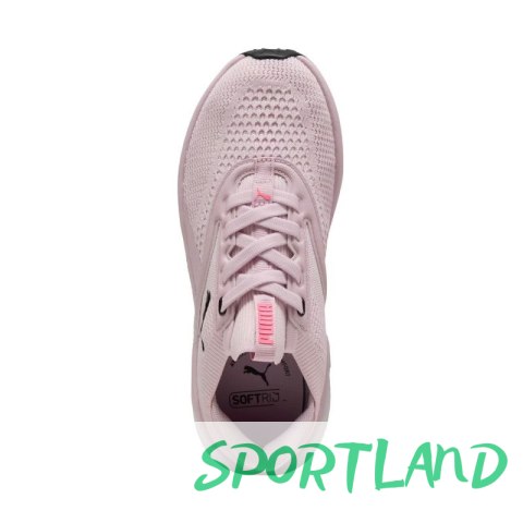 Buty do biegania Puma Softride Mayve W 310160 17 38 Buty do biegania Puma Softride Mayve W 310160 17 38