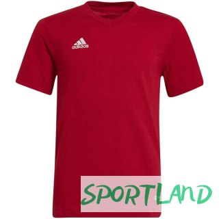 Koszulka adidas Entrada 22 Tee Jr HC0446 116cm
