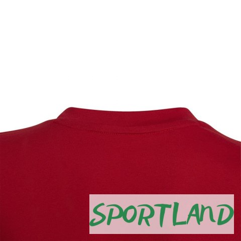 Koszulka adidas Entrada 22 Tee Jr HC0446 116cm Koszulka adidas Entrada 22 Tee Jr HC0446 116cm