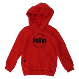 Bluza Puma DCT Hoodie Jr 849258 11 116