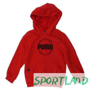 Bluza Puma DCT Hoodie Jr 849258 11 116