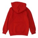 Bluza Puma DCT Hoodie Jr 849258 11 116