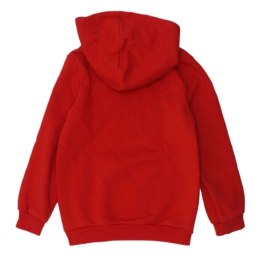 Bluza Puma DCT Hoodie Jr 849258 11 116