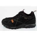 Buty trekkingowe Aku Nativa GTX W 629024 42
