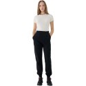 Spodnie 4F CAS F1013 W 4FWSS25TTROF1013 20S XL