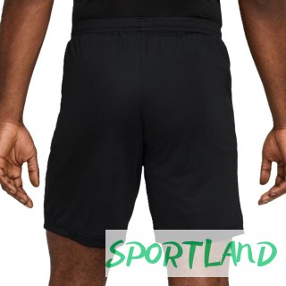 Spodenki Nike Academy 25 M FZ9776-010 S (173cm)