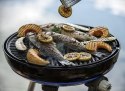 Grill gazowy CADAC BBQ Carri Chef COMBO