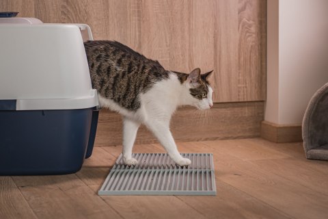 Mata 30x30cm przed kuwetę BIAŁA FIBOO Mata 30x30cm przed kuwetę BIAŁA FIBOO