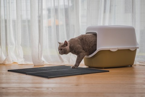 Mata 30x30cm przed kuwetę JASNO-SZARA FIBOO Mata 30x30cm przed kuwetę JASNO-SZARA FIBOO