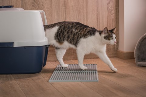 Mata 30x30cm przed kuwetę JASNO-SZARA FIBOO Mata 30x30cm przed kuwetę JASNO-SZARA FIBOO