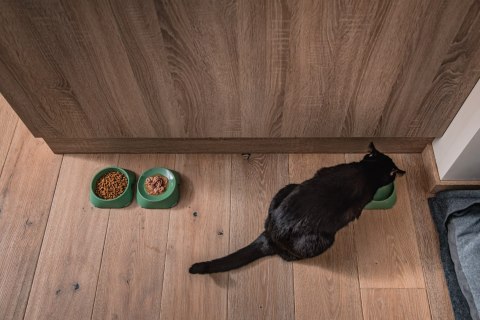 Miska płytka BEŻOWA FIBOO Miska płytka BEŻOWA FIBOO