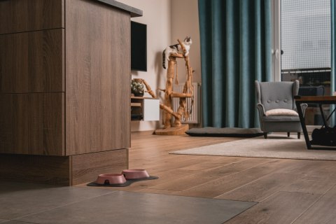 Miska płytka BEŻOWA FIBOO Miska płytka BEŻOWA FIBOO