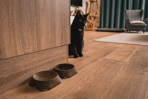 Miska płytka BEŻOWA FIBOO Miska płytka BEŻOWA FIBOO