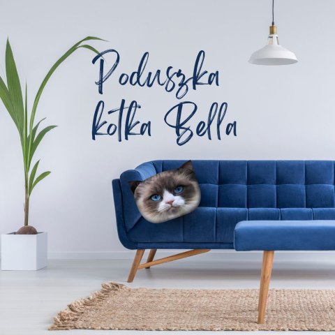 Poduszka kot "BELLA" Rozmiar L Poduszka kot "BELLA" Rozmiar L