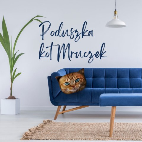 Poduszka kot "BENI" Rozmiar M Poduszka kot "BENI" Rozmiar M