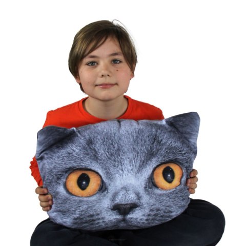 Poduszka kot "OLIVER" Rozmiar M Poduszka kot "OLIVER" Rozmiar M