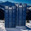 Wkład mrożący ATLANTIC KAMAI 2x240ml