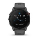 Zegarek Garmin Forerunner 255 Slate Grey N/A