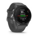 Zegarek Garmin Forerunner 255 Slate Grey N/A