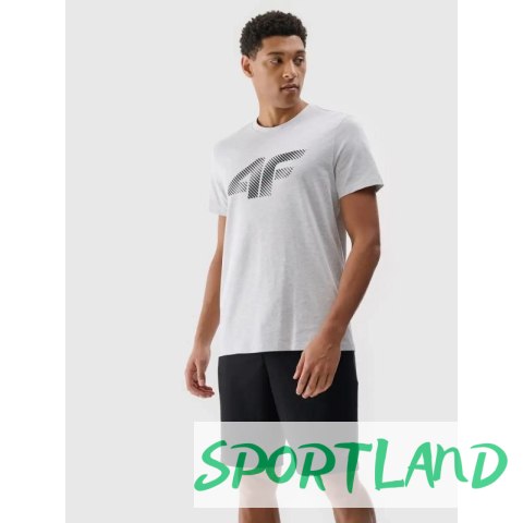 Spodenki 4F M 4FWMM00TSHOM543-20S L Spodenki 4F M 4FWMM00TSHOM543-20S L